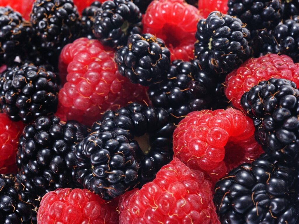 raspberries and blackberries, forest fruits, closeup-5001160.jpg