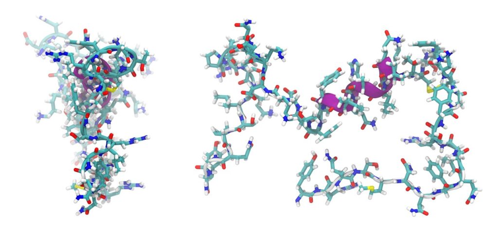 adrenomedullin, peptide, molecule-872350.jpg