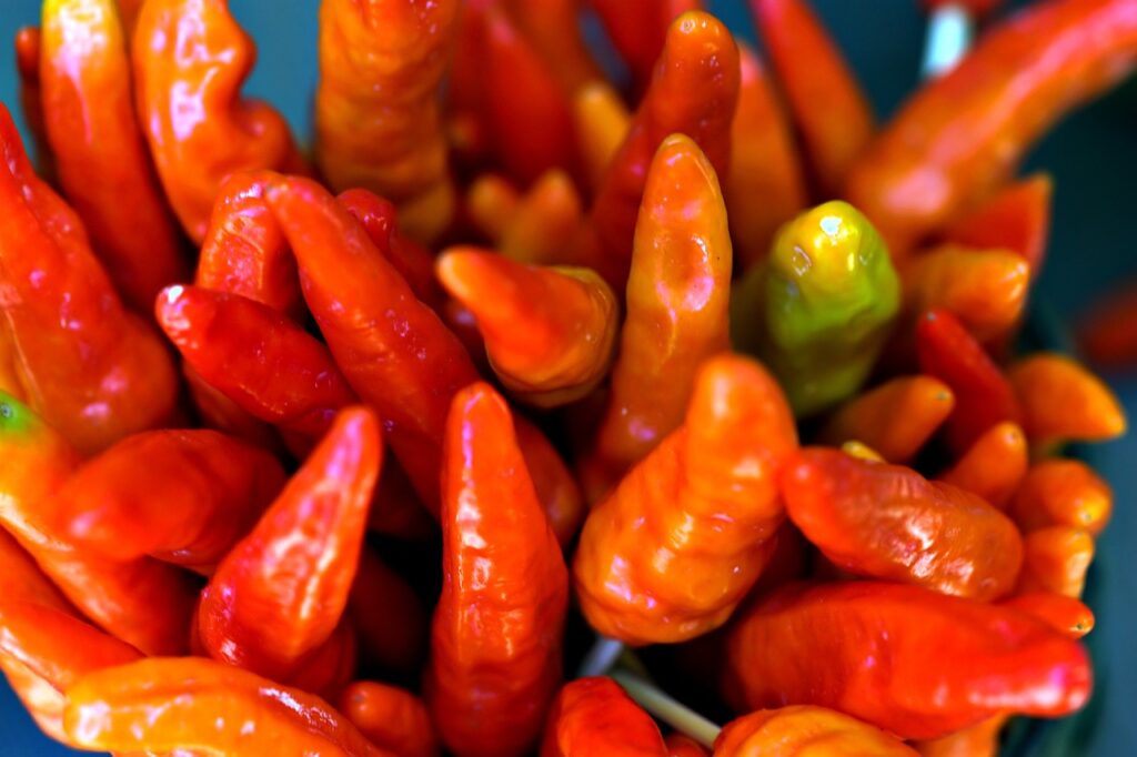 red chilli, spicy, seasoning-8110742.jpg
